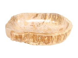 Accessories 719